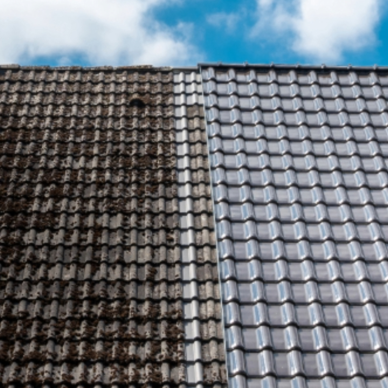 Roofing services in Tampa Bay quote